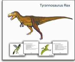 DInosaur Cards