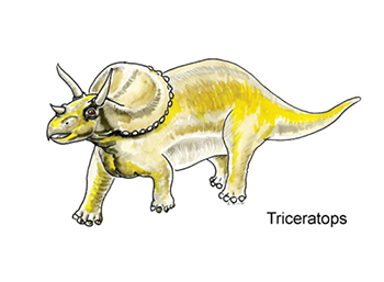 Educational Illustrations